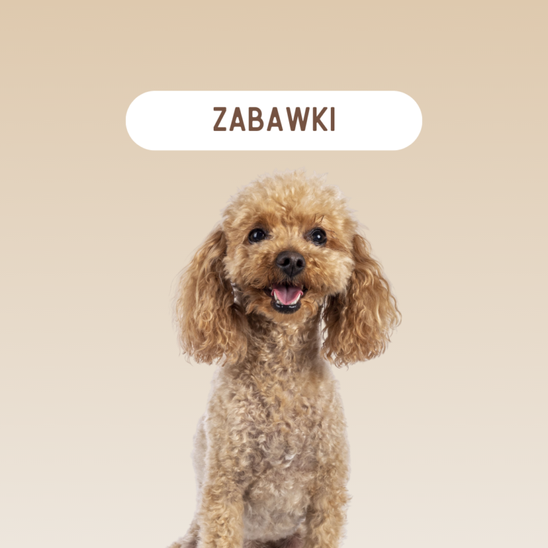 Gadżety i zabawki