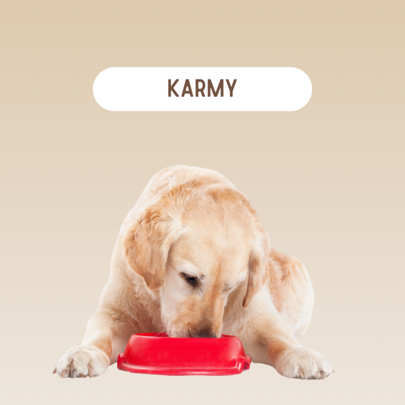 Karmy