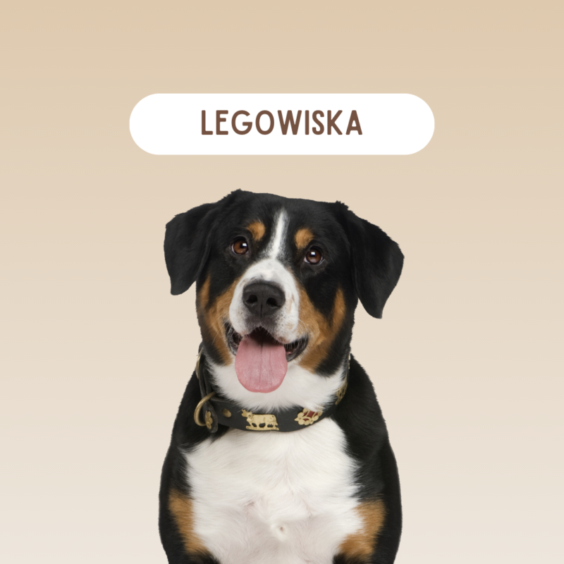 Legowiska