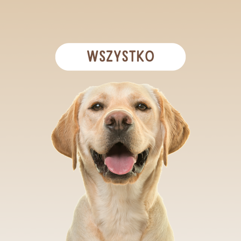 Wszystko